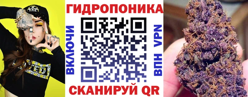 где купить   Ершов  Бошки Шишки Ganja 